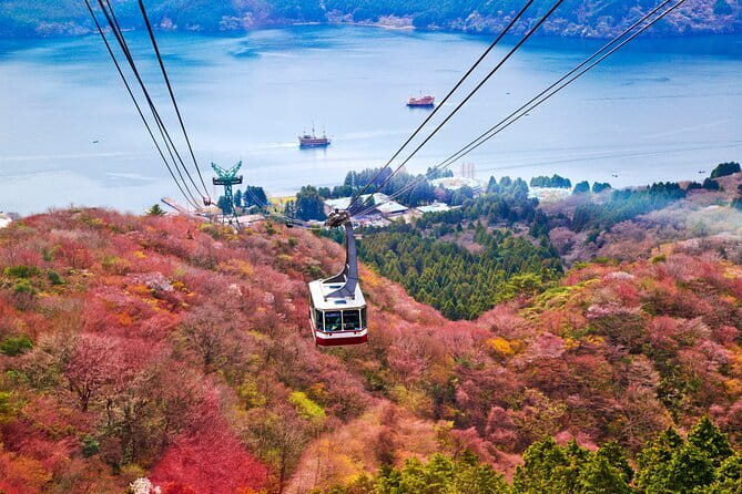 Mount Fuji and Hakone Private Day Trip by Car/Van - in English - Oshino Hakkai Ponds, Fuji Views Without the Rush