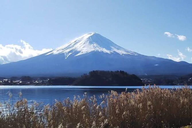 Mount Fuji and Hakone Private Day Trip by Car/Van - in English - What You Gain With an English Driver-Guide and Flexible Stops