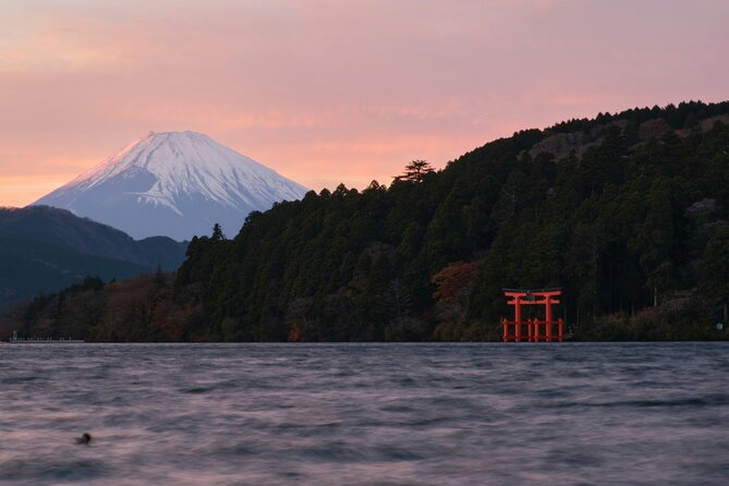Mount Fuji and Hakone Private day trip from Tokyo - Why This Private Fuji and Hakone Day Feels Manageable