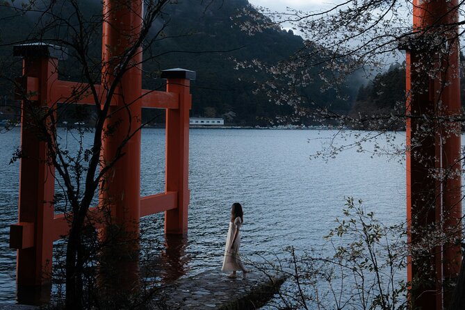 Mount Fuji and Hakone Private day trip from Tokyo - Arakurayama Sengen Park and the Chureito Pagoda View
