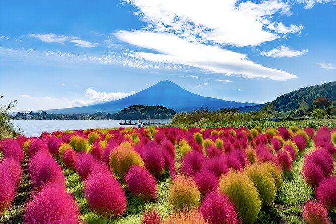Mount Fuji and Hakone Private day trip from Tokyo - Lake Kawaguchiko: Your Fuji Anchor Stop