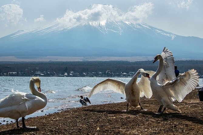 Mount Fuji and Hakone Private day trip from Tokyo - Hakone Shrine and Heiwa no Torii: Lakeside Icons That Feel Quiet
