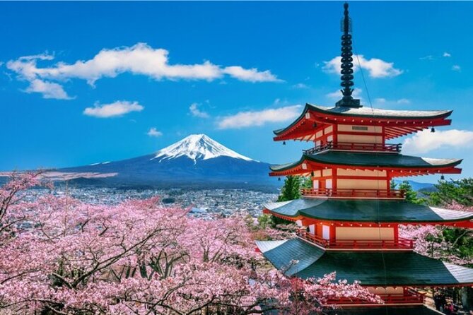 Mount Fuji and Hakone Private Tour by Car with Pickup from Tokyo - Why a private car day works better than DIY to Fuji and Hakone