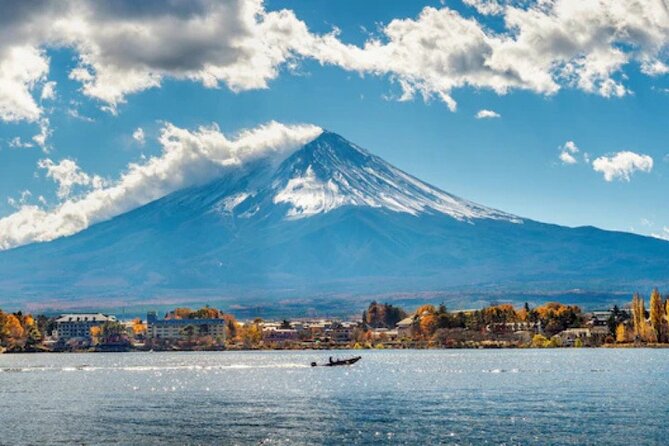 Mount Fuji and Hakone Private Tour by Car with Pickup from Tokyo - Hakone Ropeway to Owakudani: the volcanic view stop