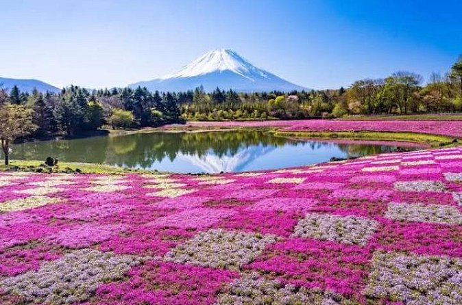 Mount Fuji and Hakone Private Tour by Car with Pickup from Tokyo - Gora Park: a French-style garden break in Hakone
