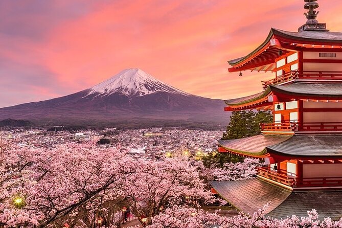 Mount Fuji and Hakone Private Tour by Car with Pickup from Tokyo - Morning start times and the Fuji weather reality