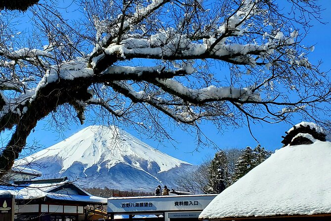 Mount Fuji and Hakone Private Tour from Tokyo (Customizable) - Quick hits before you go