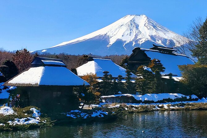 Mount Fuji and Hakone Private Tour from Tokyo (Customizable) - The car comforts you, and the guide keeps it useful