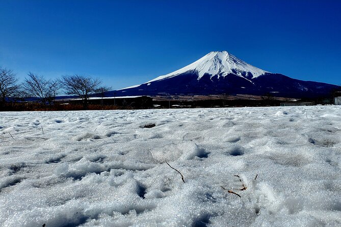 Mount Fuji and Hakone Private Tour from Tokyo (Customizable) - Kitaguchi Hongu Fuji Sengen Jinja: a calmer stop with big views