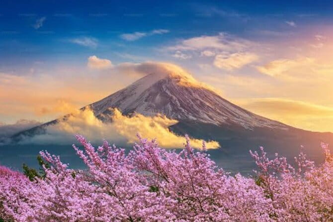 Mount Fuji and Hakone Private Tour with Pickup from Tokyo - Chureito Pagoda: the classic Fuji-with-steps opener