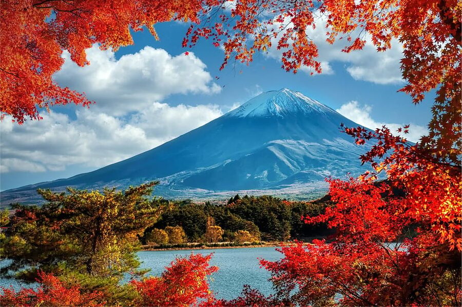 Mount Fuji and Hakone Tour with Personal Driver & Transport - Key Highlights Worth Prioritizing
