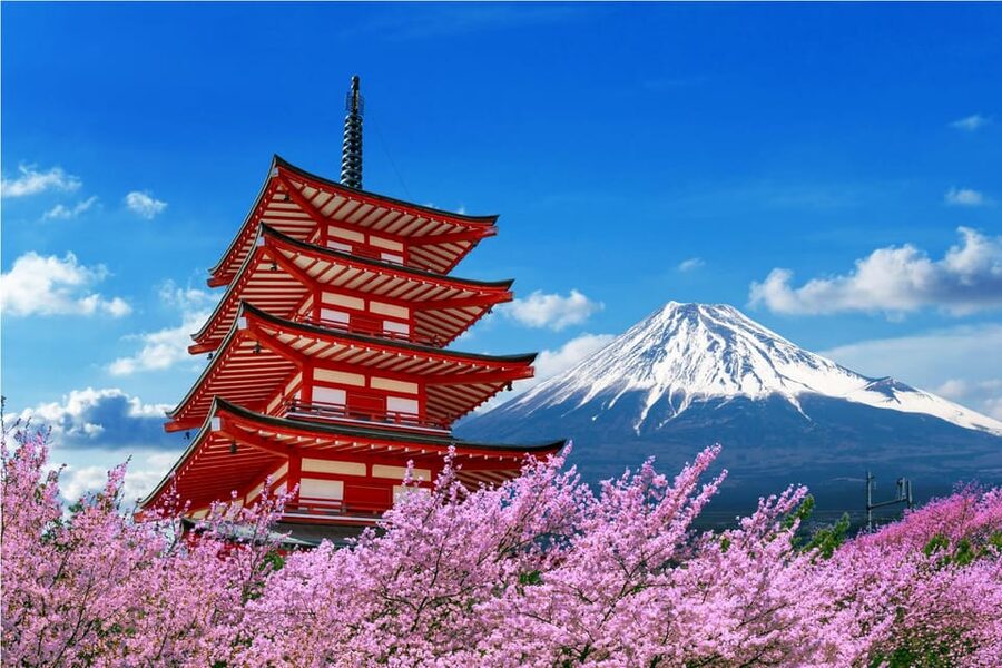 Mount Fuji and Hakone Tour with Personal Driver & Transport - Private Van Touring, Where the Day Actually Feels Manageable