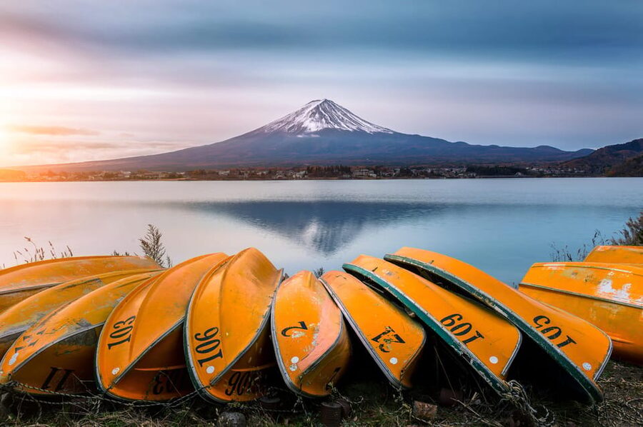 Mount Fuji and Hakone Tour with Personal Driver & Transport - Lake Kawaguchi and Oishi Park: Two Cuts at the Fuji View