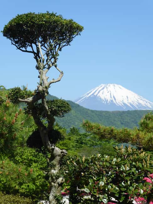 Mount Fuji: Customizable Private Tour By Car With Pickup - Optional extras if you want more lakes or a more hands-on day