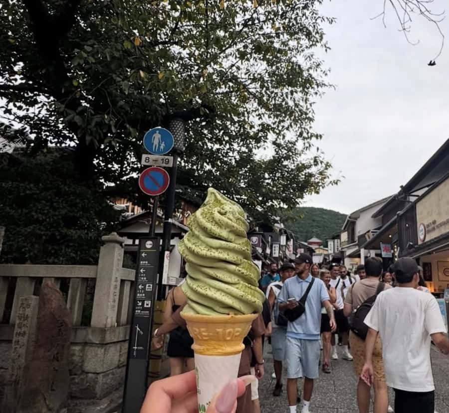 Mount Fuji Customize Private Tour with English Driver - Arakurayama Sengen Park and the Arakura Fuji Sengen-jinja pagoda