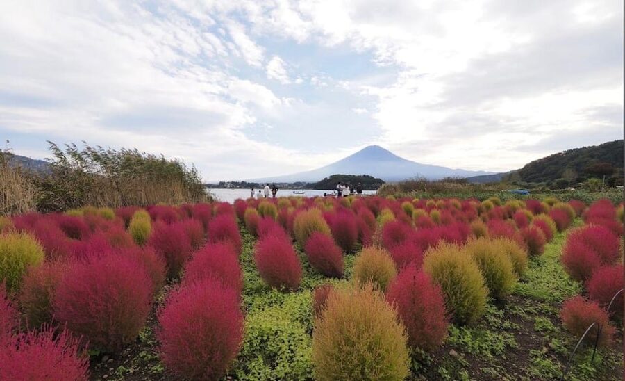 Mount Fuji Customize Private Tour with English Driver - The outlet mall at the end: why it is there