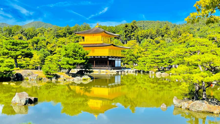 Mount Fuji Customize Private Tour with English Driver - Tokyo pickup and the smooth start you want