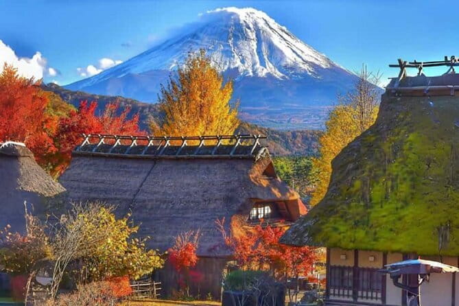 Mount Fuji Day Tour:Lake Kawaguchi, HealingVillage,Oshino Hakkai - How this 10-hour Fuji circuit actually works