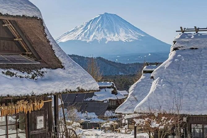 Mount Fuji Day Tour:Lake Kawaguchi, HealingVillage,Oshino Hakkai - Stop 1, Arakurayama Sengen Park for Fuji views from above