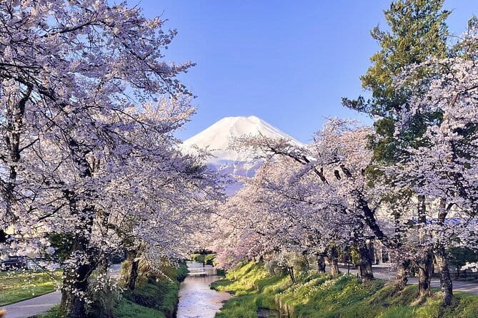 Mount Fuji Day Tour:Lake Kawaguchi, HealingVillage,Oshino Hakkai - Stop 2, Oshino Hakkai ponds and the calm Fuji-melt story