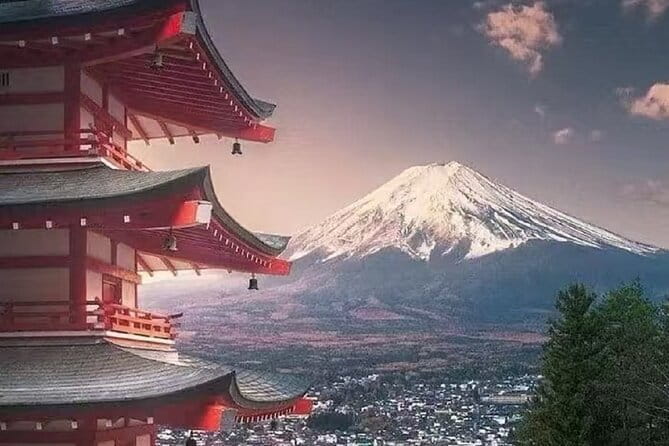 Mount Fuji Day Tour:Lake Kawaguchi, HealingVillage,Oshino Hakkai - Getting the most out of your photos without burning time