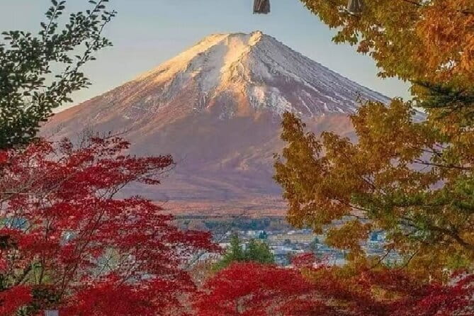 Mount Fuji Day Tour:Lake Kawaguchi, HealingVillage,Oshino Hakkai - Price and value, what you are really paying for