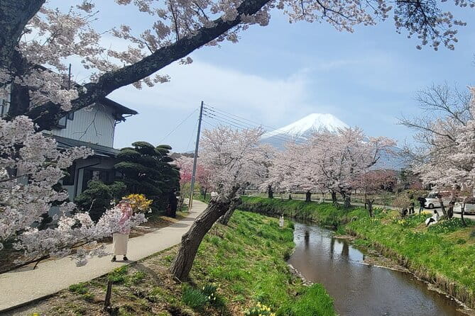 Mount Fuji Full Day Customizable Private Tour with English Guide - Oishi Park: the lakeside promenade view you will want to repeat