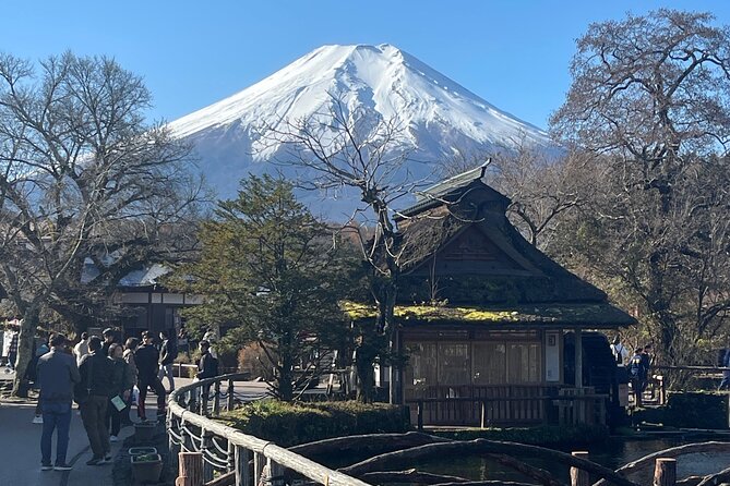 Mount Fuji Full Day Customize Private Tour with English Guide - A realistic route: Fuji 5th Station to Gotemba, all in one day