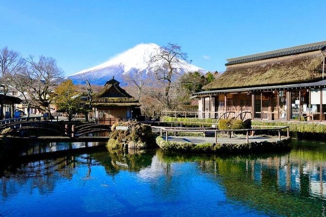 Mount Fuji Full Day Customized Private Tour with English Guide - Mt. Fuji 5th Station: the iconic stop, with one fee to plan for