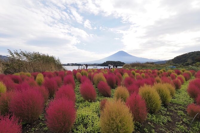 Mount Fuji Full Day Customized Private Tour with English Guide - Arakurayama Sengen Park and Chureito Pagoda: the stairs moment