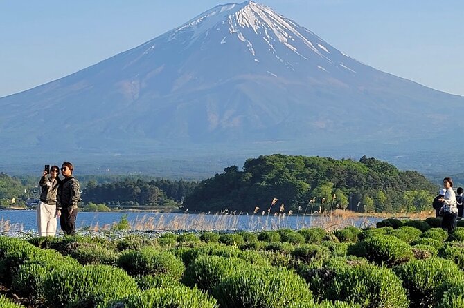 Mount Fuji Full Day Customized Private Tour with English Guide - Narusawa Ice Cave: the stop that changes the whole vibe