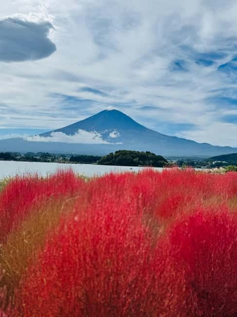 Mount Fuji Full-Day Private Customizable Tour From Tokyo - From Cables to the Hakone Open-Air Museum
