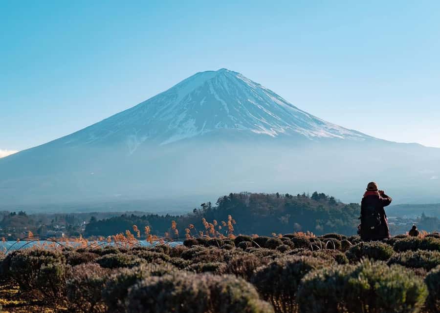 Mount Fuji Full-Day Private Sightseeing Tour with Guide - Key reasons this private Fuji day feels worth it