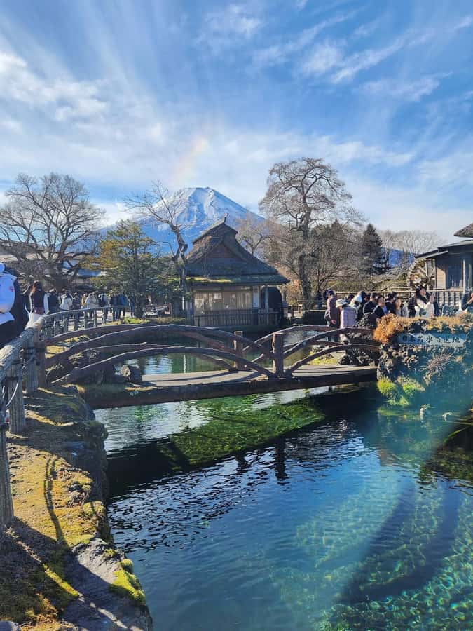 Mount Fuji Full-Day Private Sightseeing Tour with Guide - The core decision point: 5th Station or a smart weather backup