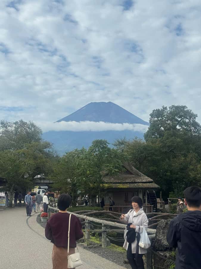 Mount Fuji Full-Day Private Sightseeing Tour with Guide - Lake Kawaguchi and Oishi Park: where the day turns into a photo day