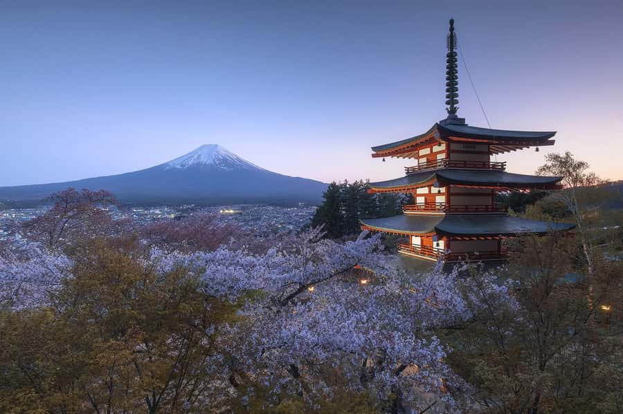Mount Fuji Full-Day Private Sightseeing Tour with Guide - Guide quality that shows up in how the day feels