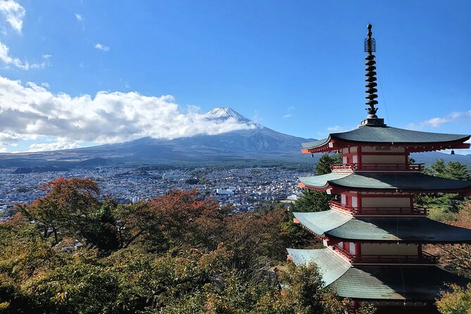 Mount Fuji Full-Day Private Tour from Tokyo (Customizable) - Private Car Comfort: The Real Reason This Works