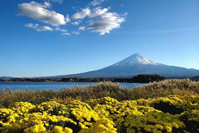 Mount Fuji Full-Day Private Tour from Tokyo (Customizable) - Hotel Pickup, Start Time, and Avoiding Traffic Pain