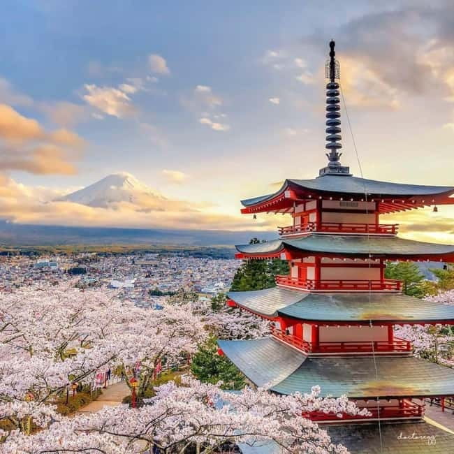 Mount Fuji Full Day Private Tour from Tokyo Full Customized - Key things to know before you go