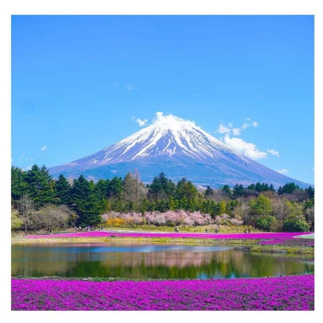 Mount Fuji Full Day Private Tour from Tokyo Full Customized - Oshino Hakkai: spring-fed calm and a slower pace near Fuji