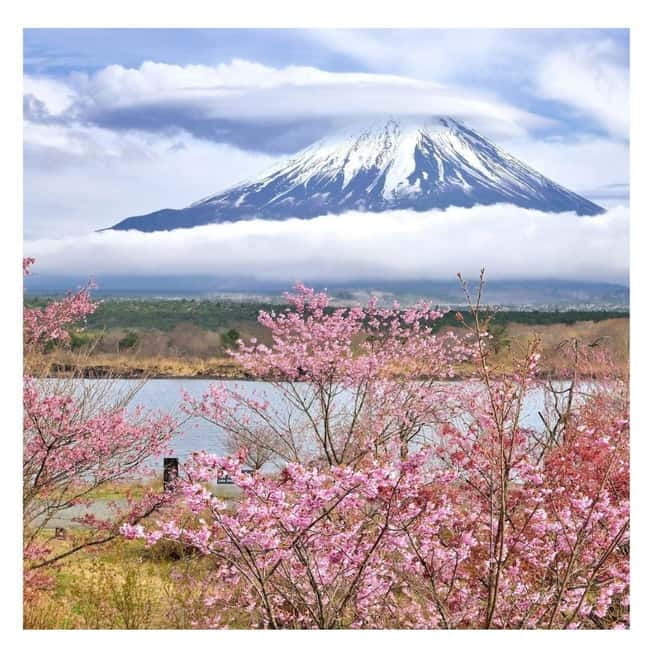 Mount Fuji Full Day Private Tour from Tokyo Full Customized - Kitaguchi Sengen Shrine under old trees