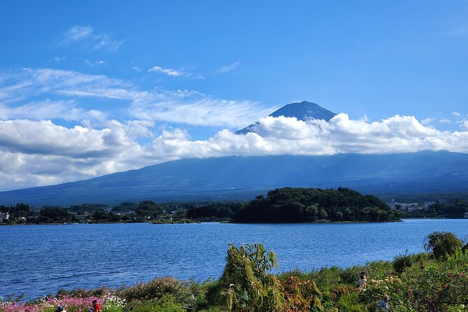 Mount Fuji Full-Day Private Tour from Yokohama Customizable - Kitaguchi Hongu Fuji Sengen Jinja to Oishi Park: shrine calm and flower views