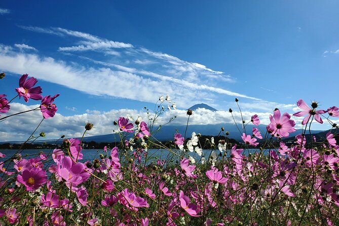 Mount Fuji Full-Day Private Tour from Yokohama Customizable - Lake Kawaguchiko and Saiko Iyashi no Sato Nemba: water views and the healing village feeling