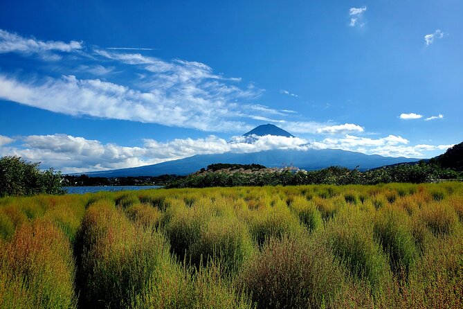 Mount Fuji Full-Day Private Tour from Yokohama Customizable - Who should book this private tour from Yokohama