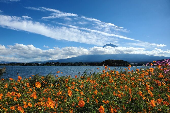 Mount Fuji Full-Day Private Tour from Yokohama Customizable - Should you book this Mount Fuji tour from Yokohama?