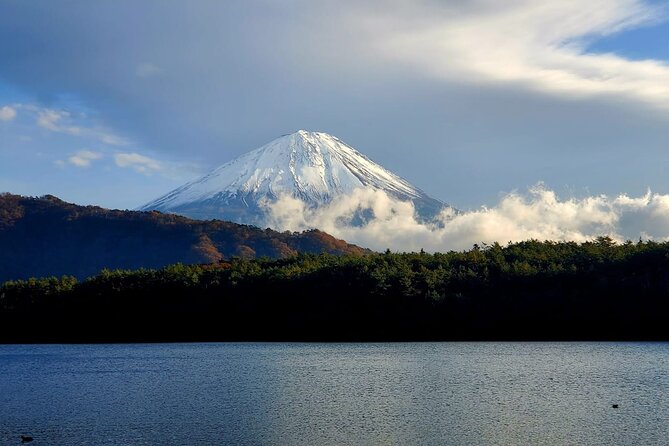 Mount Fuji Full-Day Private Tour from Yokohama Customizable - Chureito Pagoda to Oshino Hakkai: the classic Fuji photo zone