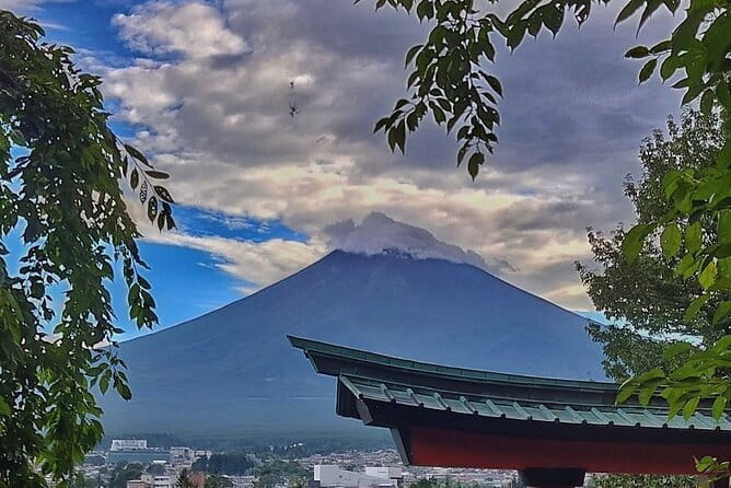 Mount Fuji Full Day Private Tour with English Speaking Driver - What the Schedule Actually Covers (8 to 10 Hours)