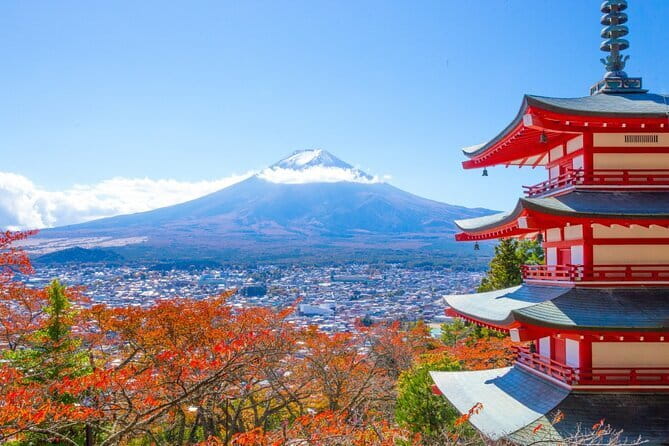 Mount Fuji Full Day Sightseeing Tour from Tokyo - Pickup Points and the Real-Life Bus Time