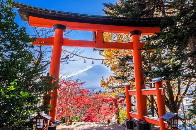Mount Fuji Full Day Sightseeing Tour from Tokyo - Oishi Park: The Lake Kawaguchi View Stop That Sets the Tone