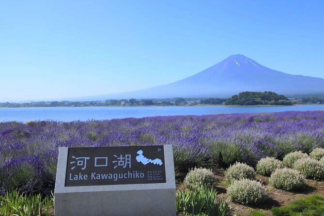 Mount Fuji Full Day Tour form Tokyo Lake Kawaguchi & Yamanaka - Why This Mt. Fuji Day Trip Works So Well From Tokyo